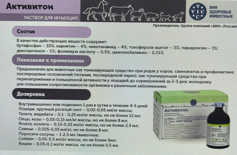 Витаминный коктейль для вашего питомца.