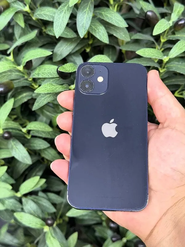 iPhone 12 mini 3