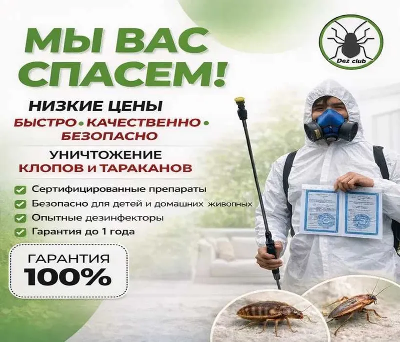 Дезинфекция Дезинсекция | KLOP TARAKAN | Клопы Тараканы Дератизация