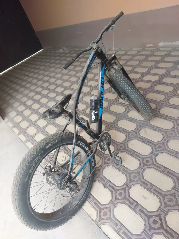 velosiped — фото 1