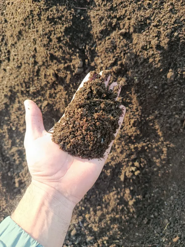Qoplangan elakdan oʻtgan gong 1
