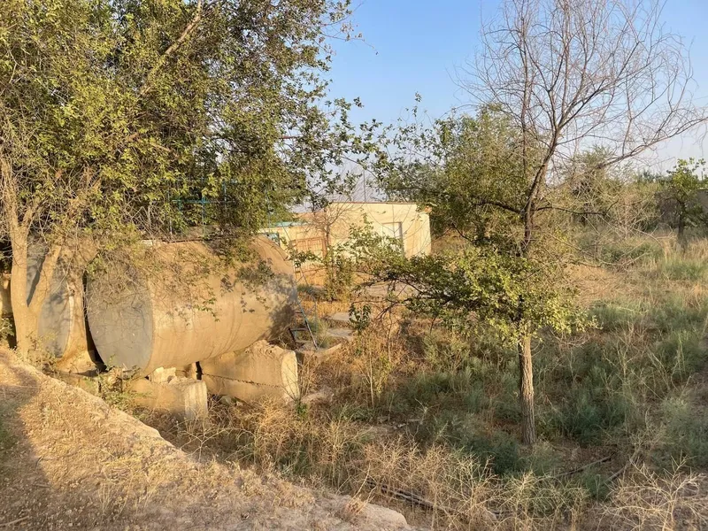 Ko‘kdala tumanida 50 sotix yer sotiladi AZS uchun ideal joy — фото 1