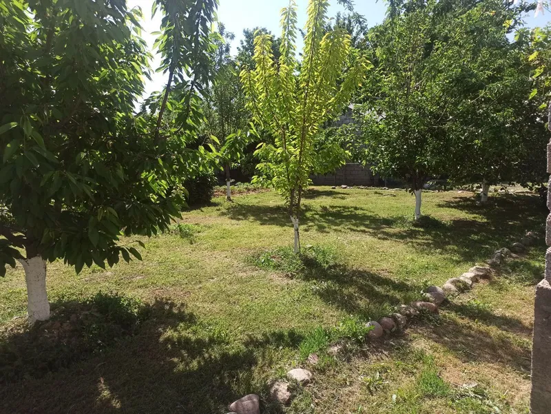 Продаётся дом,7.5 сот,Юкори-Чирчикский р-н — фото 3 Продаётся дом,7.5 сот,Юкори-Чирчикский р-н — фото 3