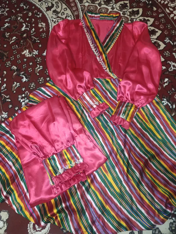 Ayollar koʻylagi