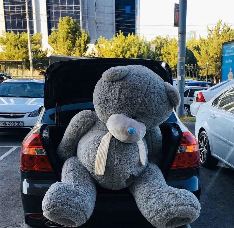 Teddy+Teddi+oq+seriy — фото 1