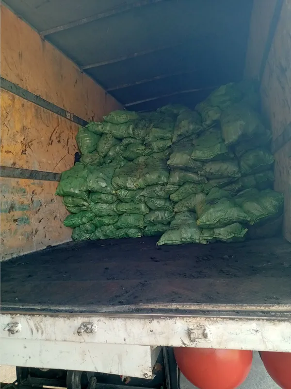Кумир Шашлык га Атборни Киргиз Казок Ангрен Хока — фото 3