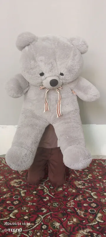 ayiq teddy, sifatli, yangi. narhi 550ming kami 500