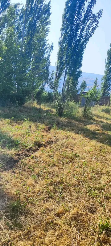 Продаётся участок в Газалкенте посёлок Кызылсу — фото 1