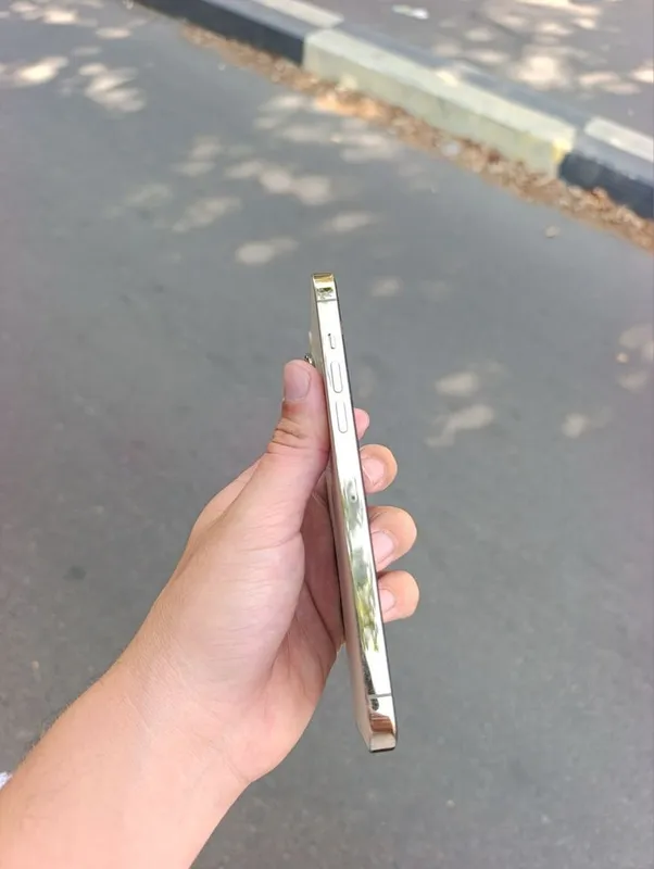 Iphone 13 pro max ideal 6