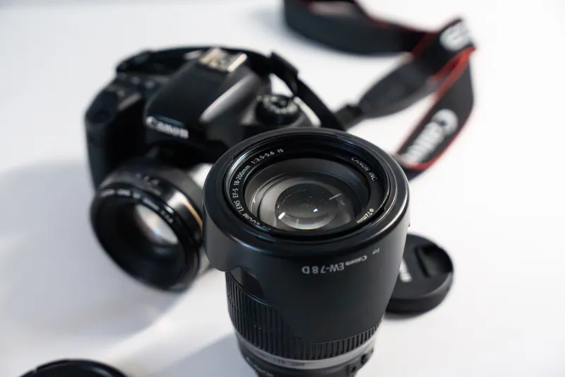 Canon 77D + Canon EF50mm f/1.4 USM + EF-S 18-200mm — фото 3