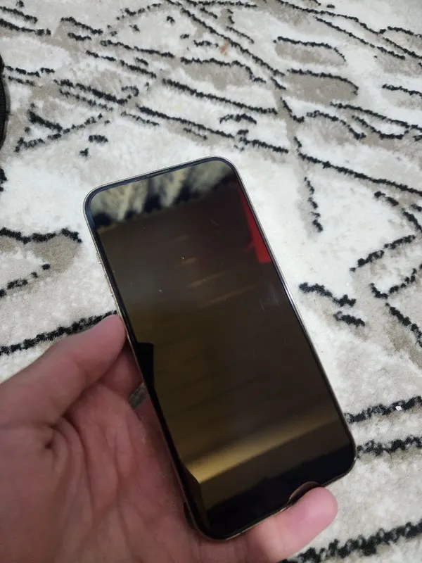 iPhone 13 Pro Max 256 LL/A 10