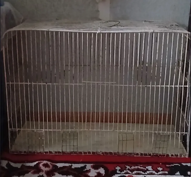 Клетка для любых птиц