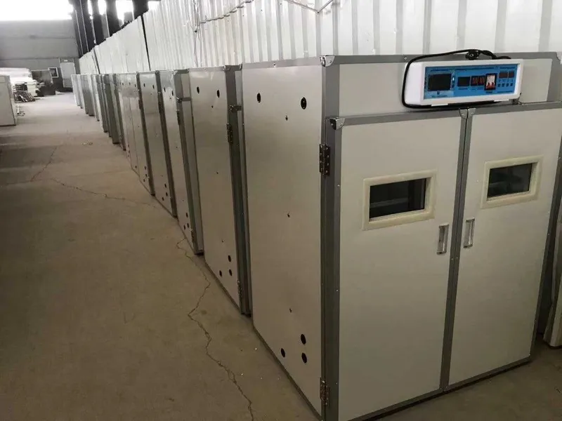 Inkubator 500 ta tuxum ochadi Yangi 1 Inkubator 500 ta tuxum ochadi Yangi 1