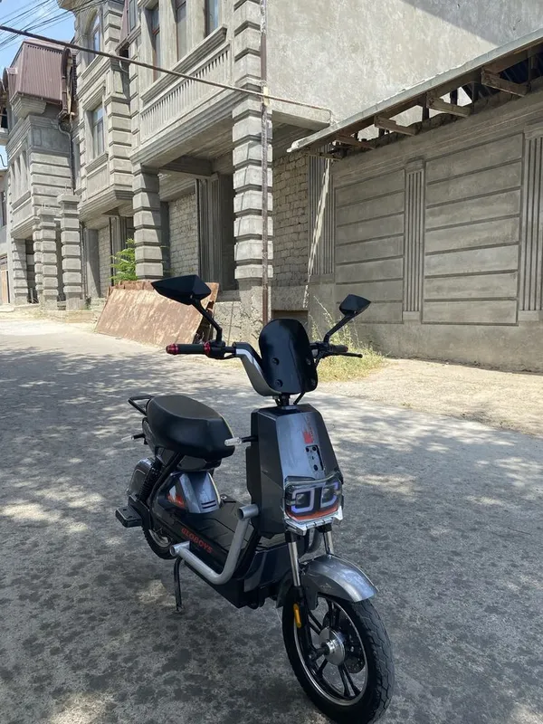 Skutir xolati zur 2