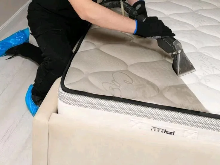 Янгийуль стирка ковров Yang Wow cleaning 1