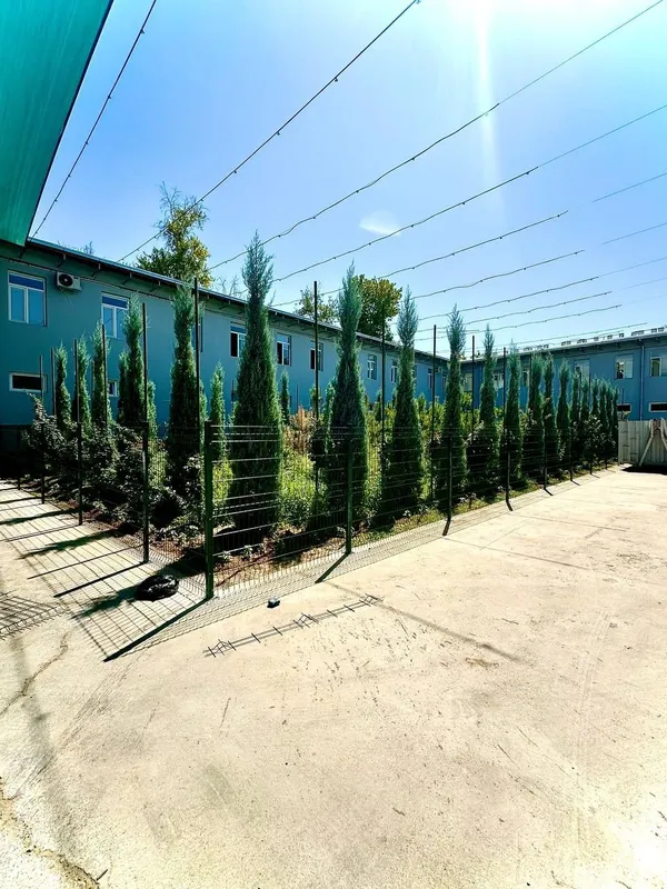 Евро сетка забор — фото 1