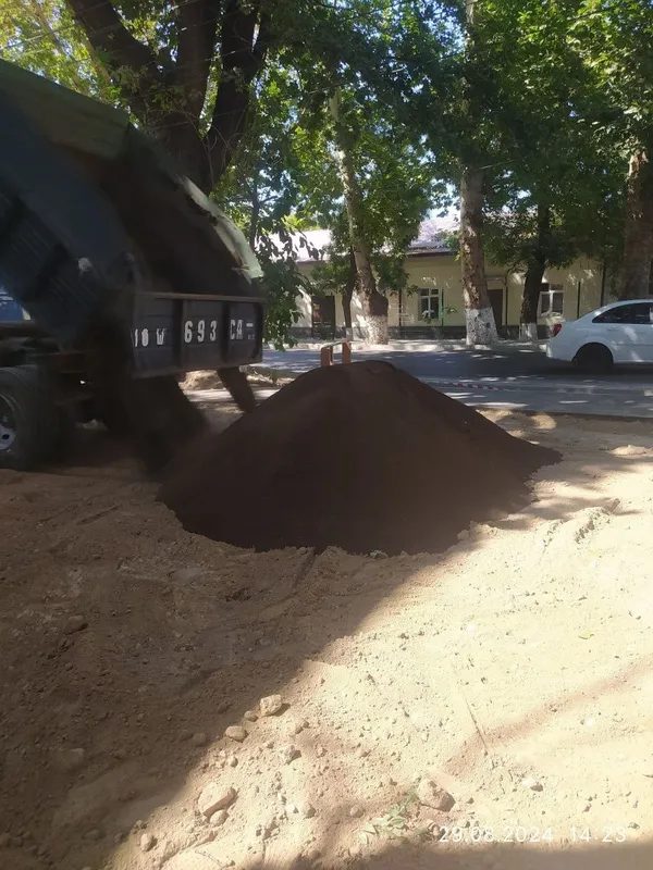 chirindi gomez apilka 6 chirindi gomez apilka 6