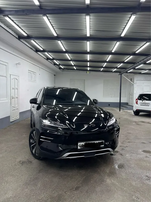 BYD chempion smart — фото 1