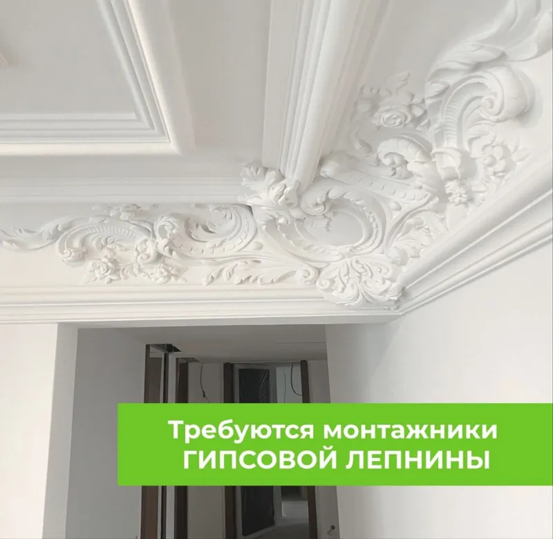 Lepka gips tiyaga zavod narxda xarid qiling 1
