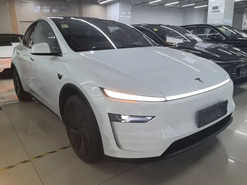 Tesla Model Y 2026 Rear-Drive Model — фото 5