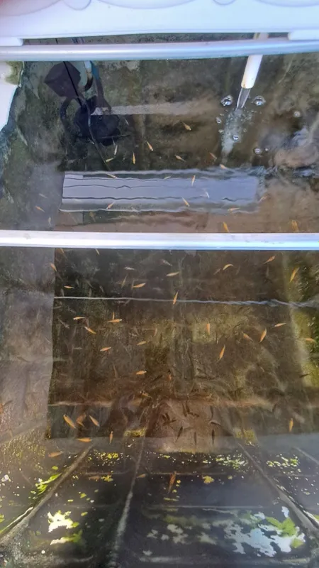Yevro kub bochka 1 tonalik 2 Yevro kub bochka 1 tonalik 2