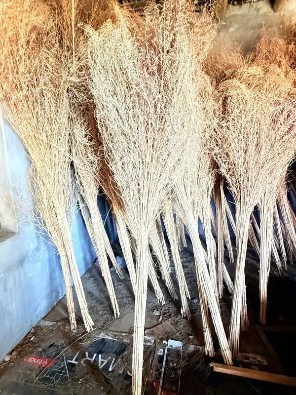 Hovli kotta spirgilar sotiladi