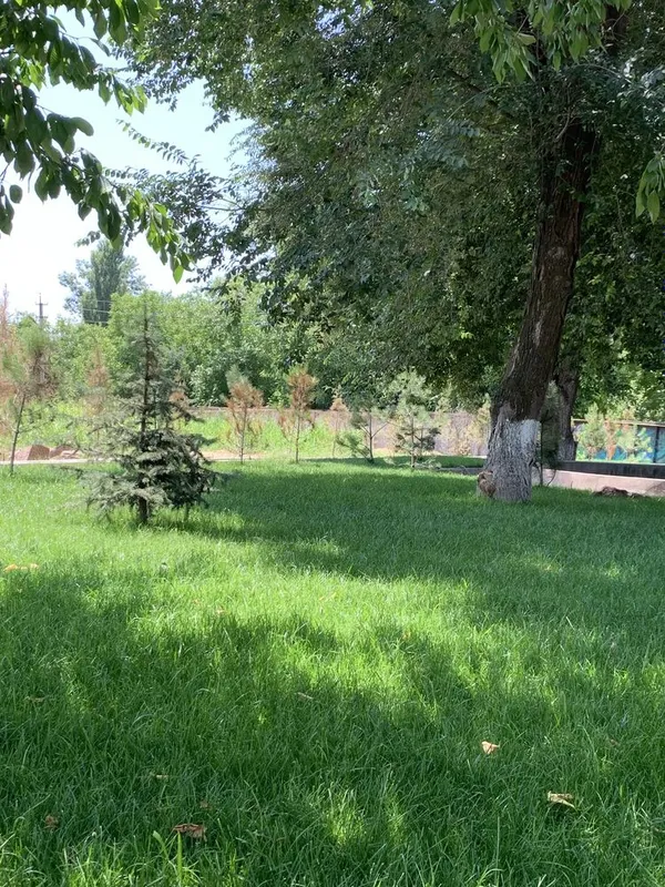 Газон посевной и руллоный — фото 3