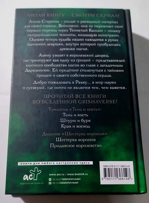 Книга Тень и Кость, автор Ли Бардуго — фото 1