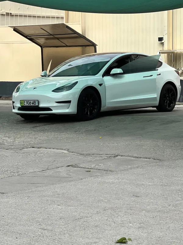 Model 3 standard plus — фото 3