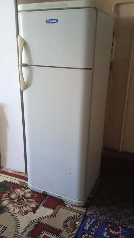 Biryusa muzlatgichi rasiskiy