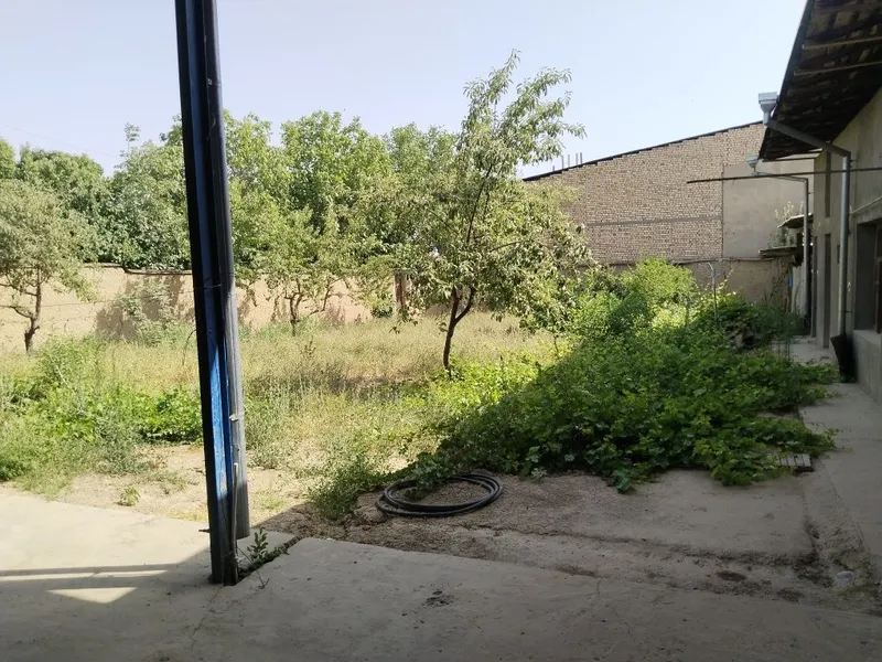 Toshkent tumani Oltin tepa maxallasida 8,9 sotixli uy sotiladi — фото 5