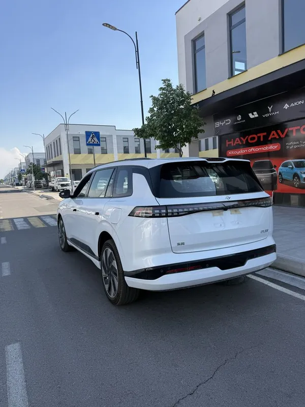 Dongfeng EP 008 Max — фото 2