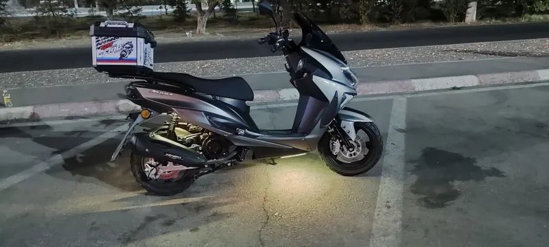 GST tiger