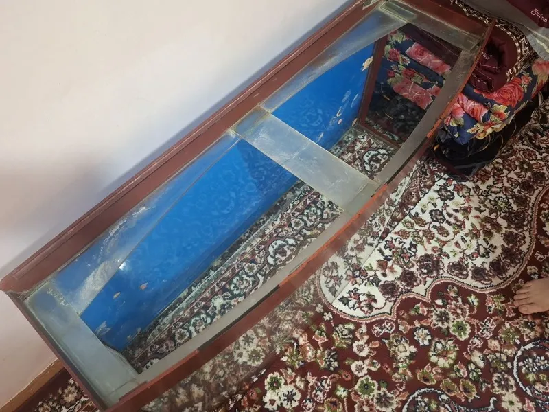 Akvarium 220 litrlik patstafkasi bilan