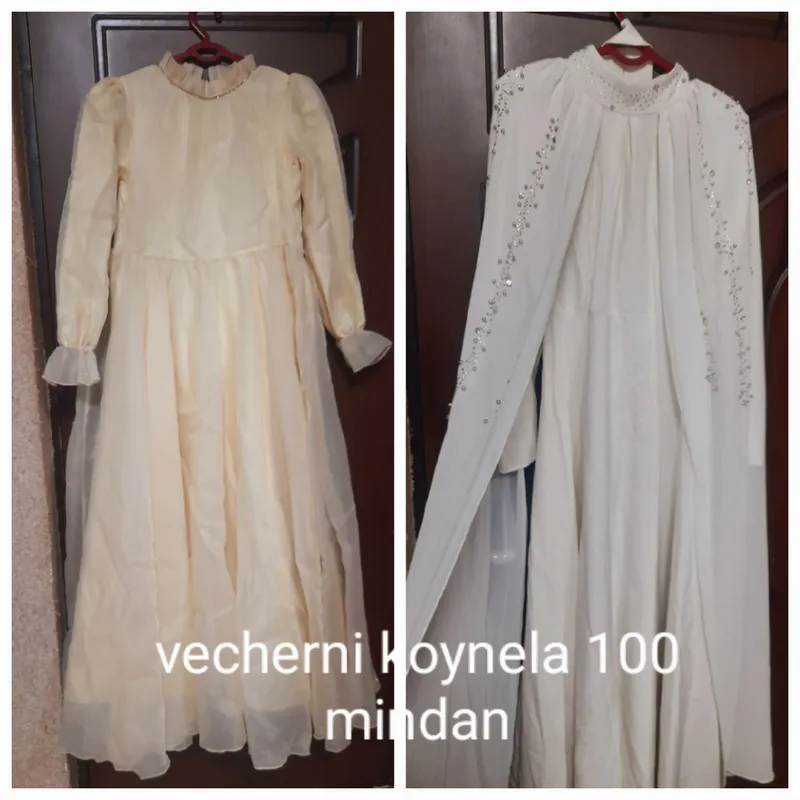 vecherni koylaklar