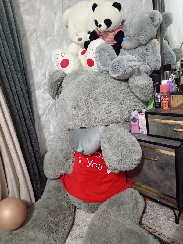 Teddy ayiq