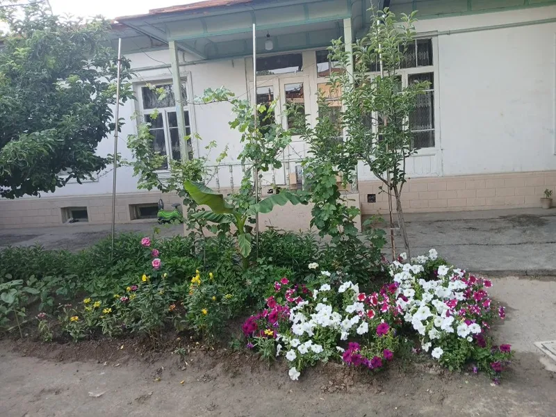 Shtapda Xovli sotiladi