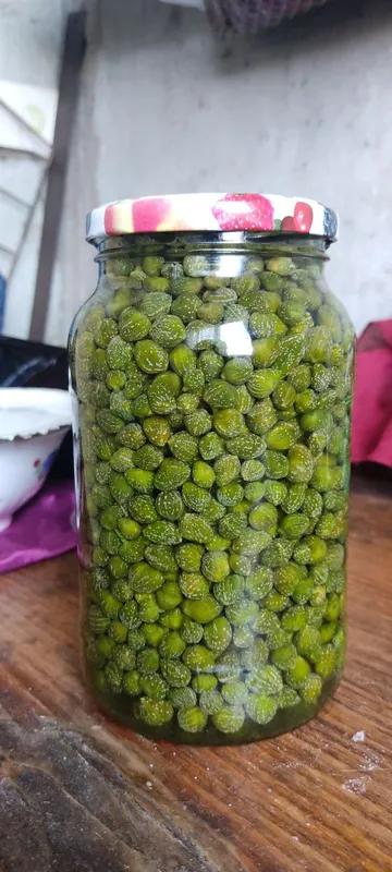 Продаются каперсы 2 Продаются каперсы 2