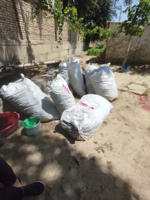 Oʻtin sotiladi tayor yigib qoyilgan — фото 1 Oʻtin sotiladi tayor yigib qoyilgan — фото 1