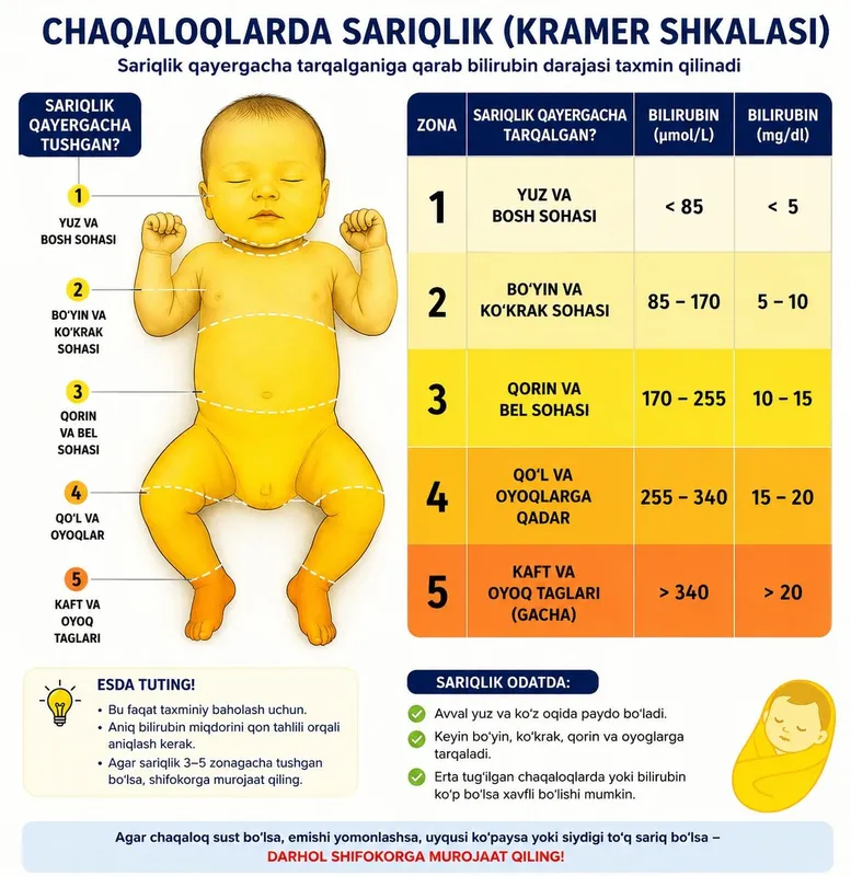 FOTOLAMPA ijarasi kunlik haftalik 2 FOTOLAMPA ijarasi kunlik haftalik 2