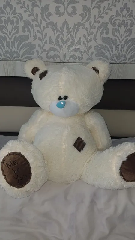 Teddy ayiqcha