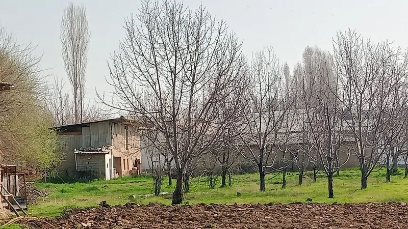 Uchastka sotiladi