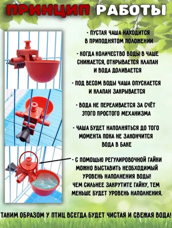 Parrandalar uchun avtomat suv idish — фото 2