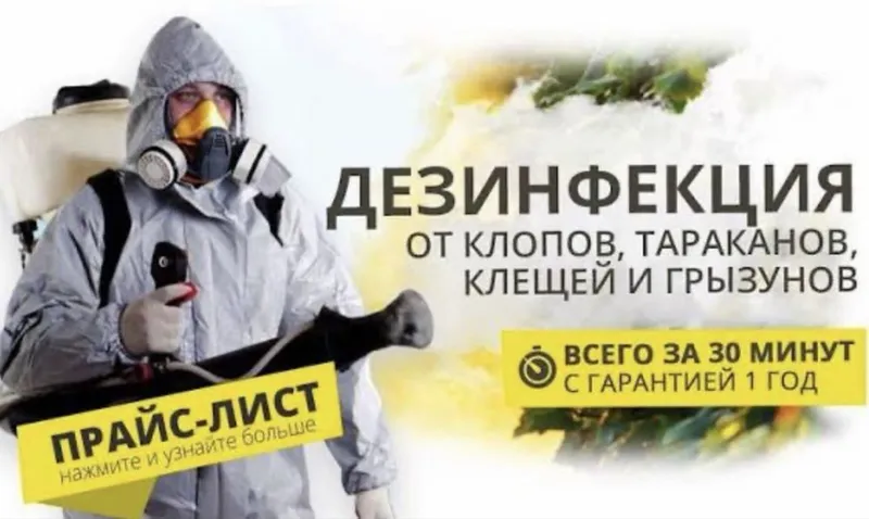 Dezinfeksiya tarakanlar