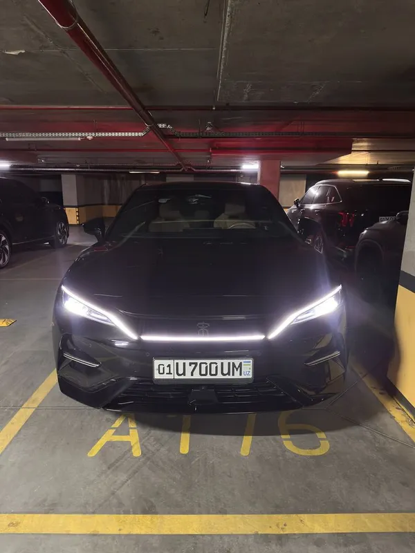 Byd song L 4 poz