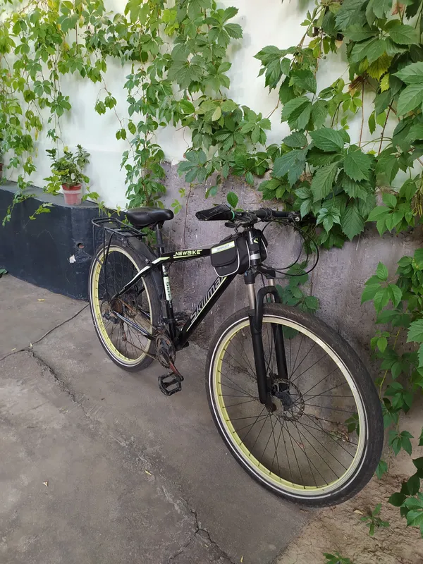 Velospeed 29