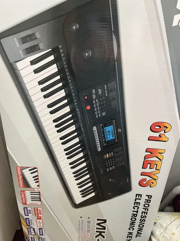 Professional electronic keyboard