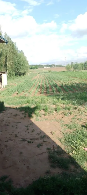 Toshkent V piskent T Vodi 44 uy 1 Toshkent V piskent T Vodi 44 uy 1