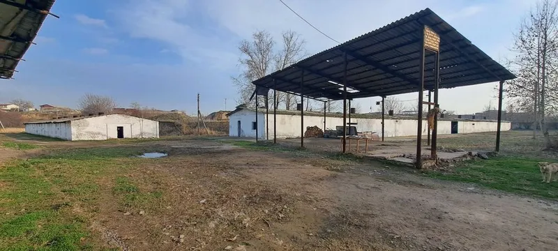 Земельный участок с кадастром (Ташкентская область, Янгиюль) 3