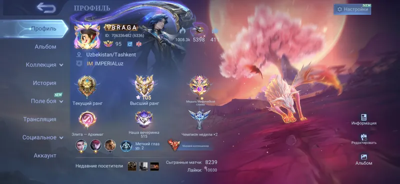 Аккаунт Mobile Legends 10